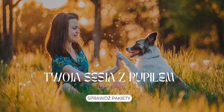Dziewczyna bawi się z psem na łące podczas sesji zdjęciowej z pupilem o zachodzie słońca.
