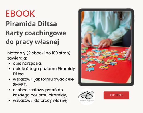 Piramida Diltsa karty coachingowe do pracy własnej, ebook