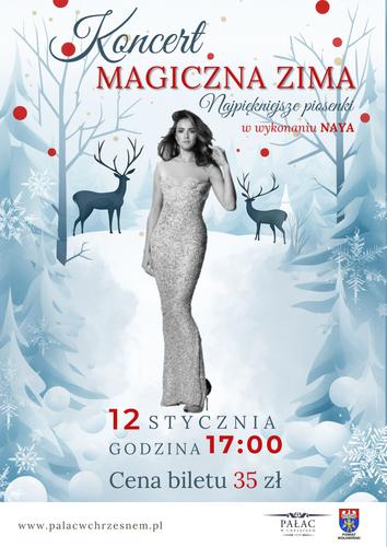 Bilet na koncert Magiczna Zima w wykonaniu NAYA 12.01.2025r godz. 17:00