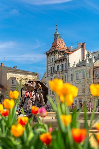 Żaba - Plac Wojska Polskiego - Bielsko-Biała