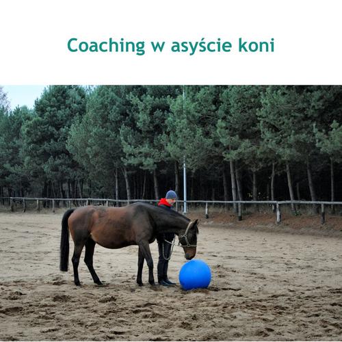 Coaching rozwojowy w asyście koni