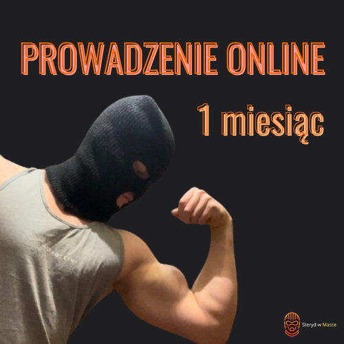 Prowadzenie Online 1 miesiąc