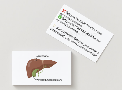 Fiszki z biologii - pisz pod klucz 🗝️