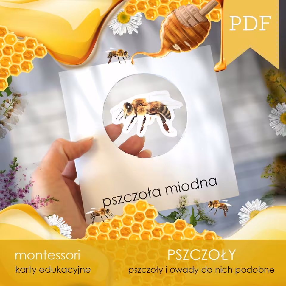 Pszczoły - Karty edukacyjne 3D