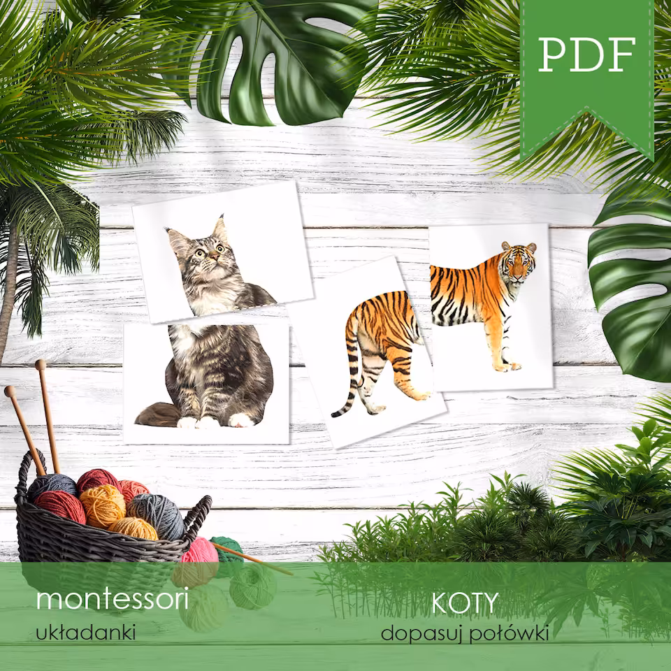 Koty - Dopasowanka