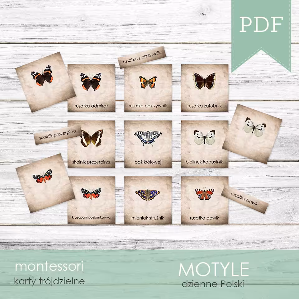 Motyle - Karty trójdzielne
