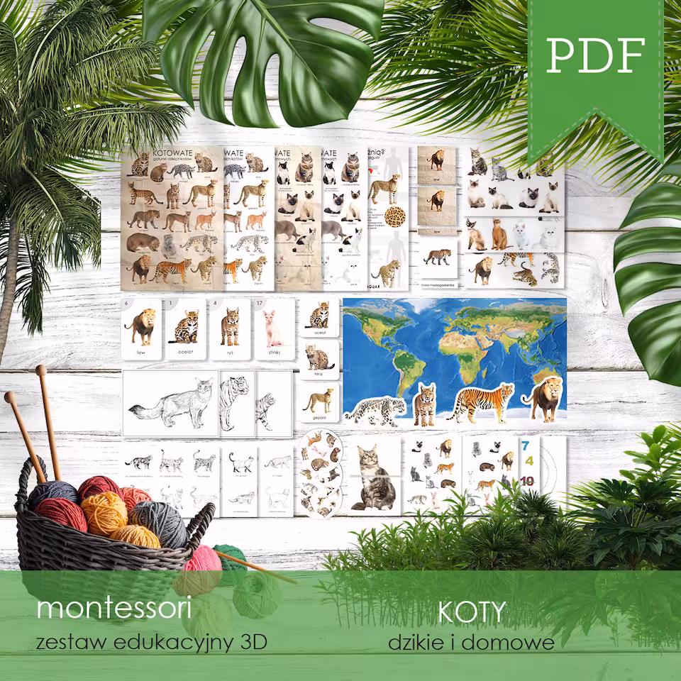 Koty - Zestaw edukacyjny 3D
