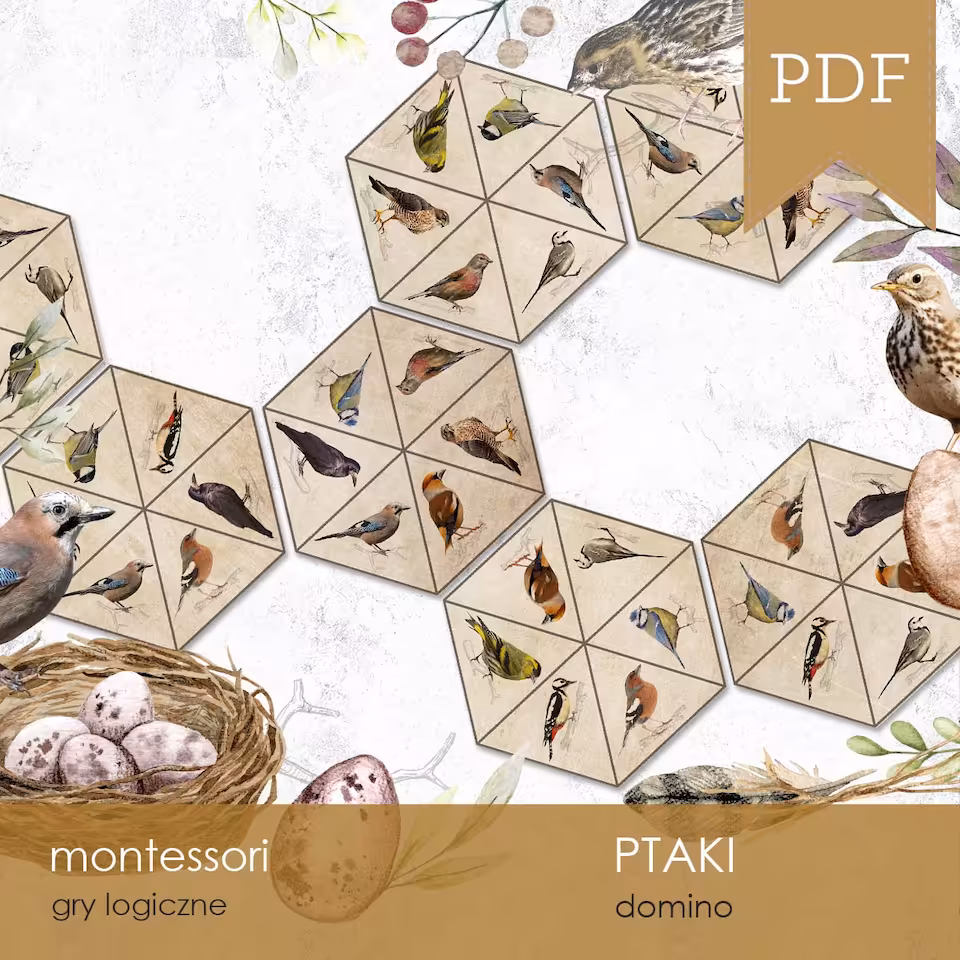 Ptaki - Domino sześciokątne