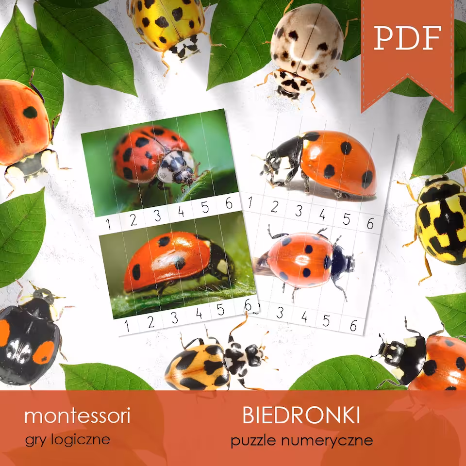 Biedronki - Puzzle numeryczne