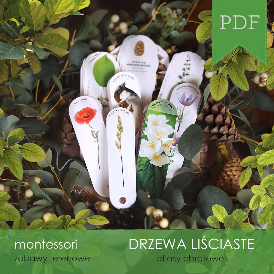 Las - Zestaw 8 leśnych atlasów obrotowych