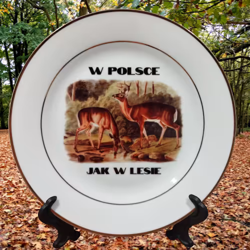 Talerz Sarnodzieło W Polsce jak w lesie