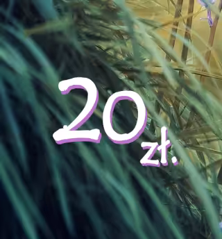 Święto Rodzin - cegielka 20zł