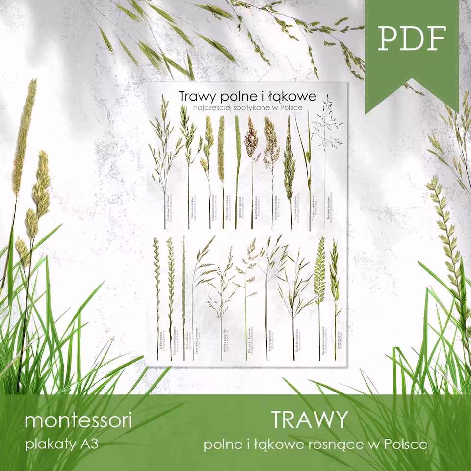 Trawy - Plakat