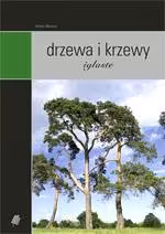 Drzewa i krzewy iglaste, Adam Marosz