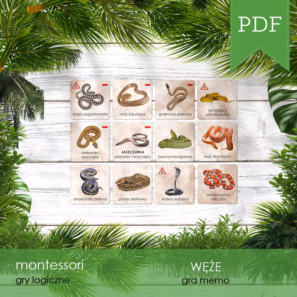 Węże - Memo