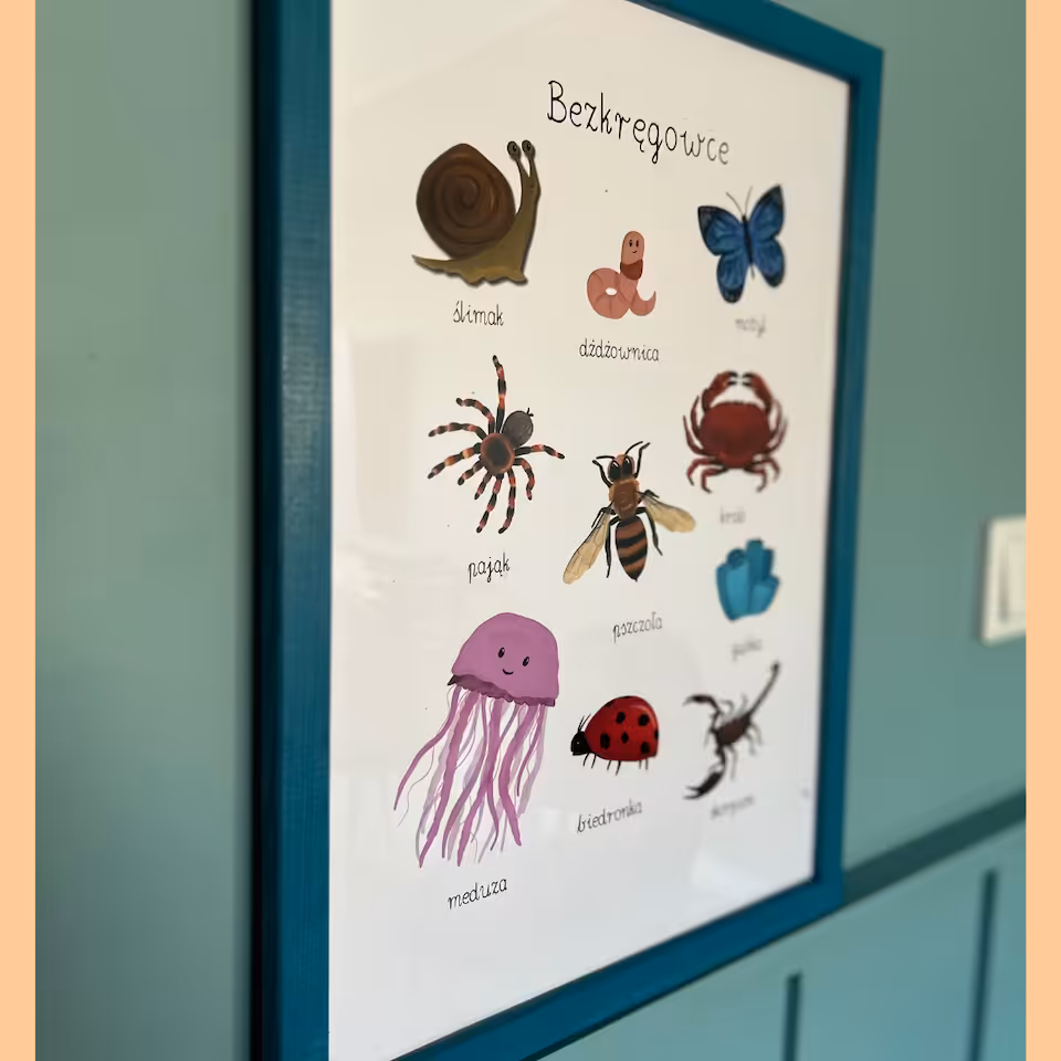 Bezkręgowce - plakat PDF
