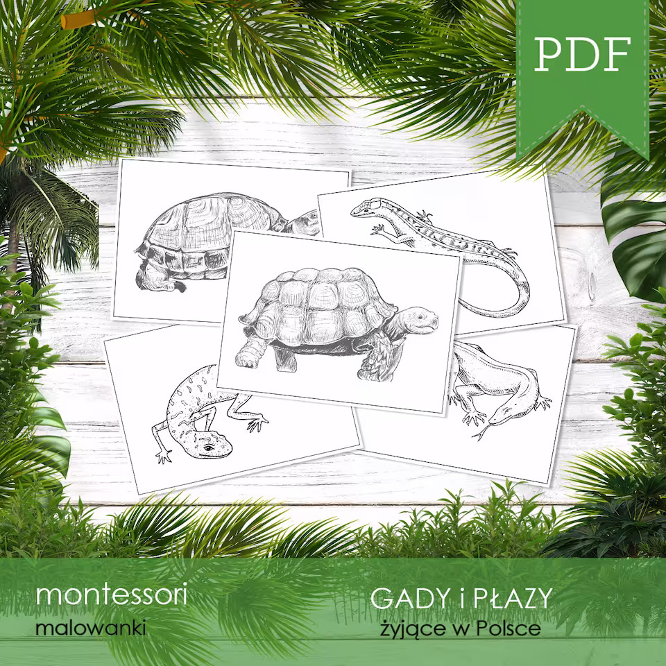 Gady i płazy Polski - Malowanki