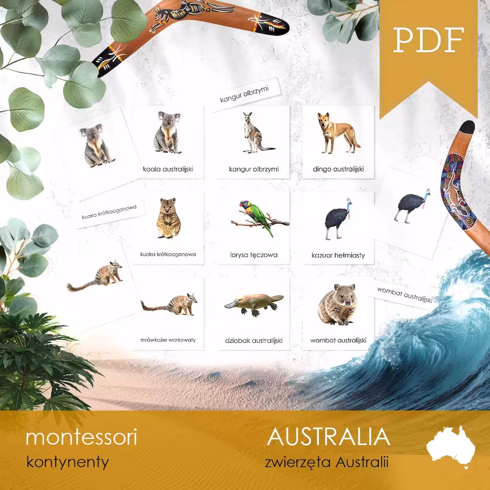 Australia - Zwierzęta - Karty edukacyjne