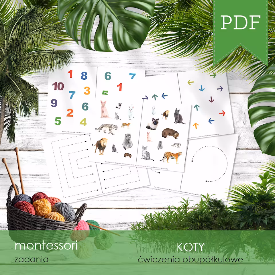 Koty - Ćwiczenia obupółkulowe