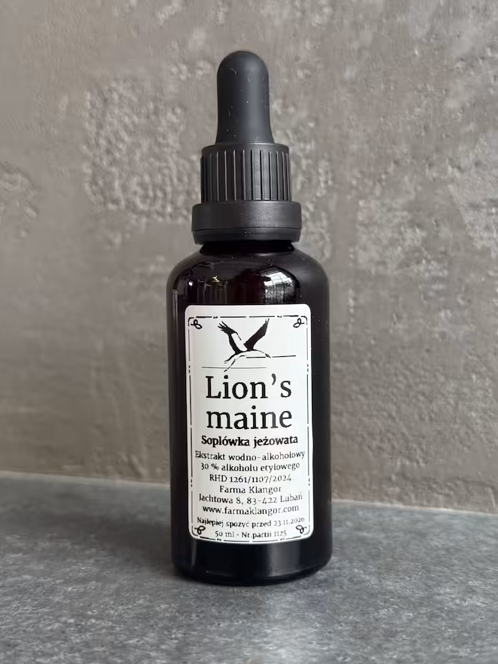 Lion's maine - Soplówka jeżowata