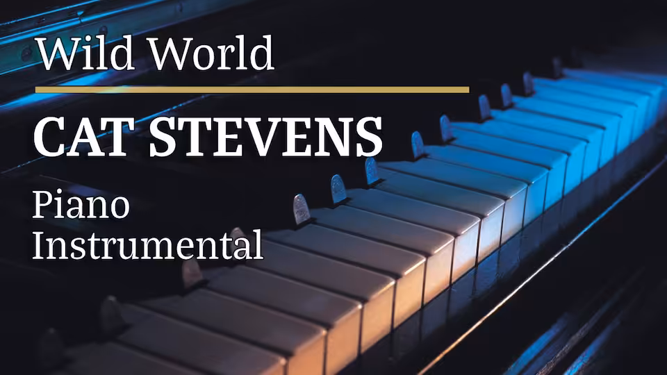 Cat Stevens - Wild World