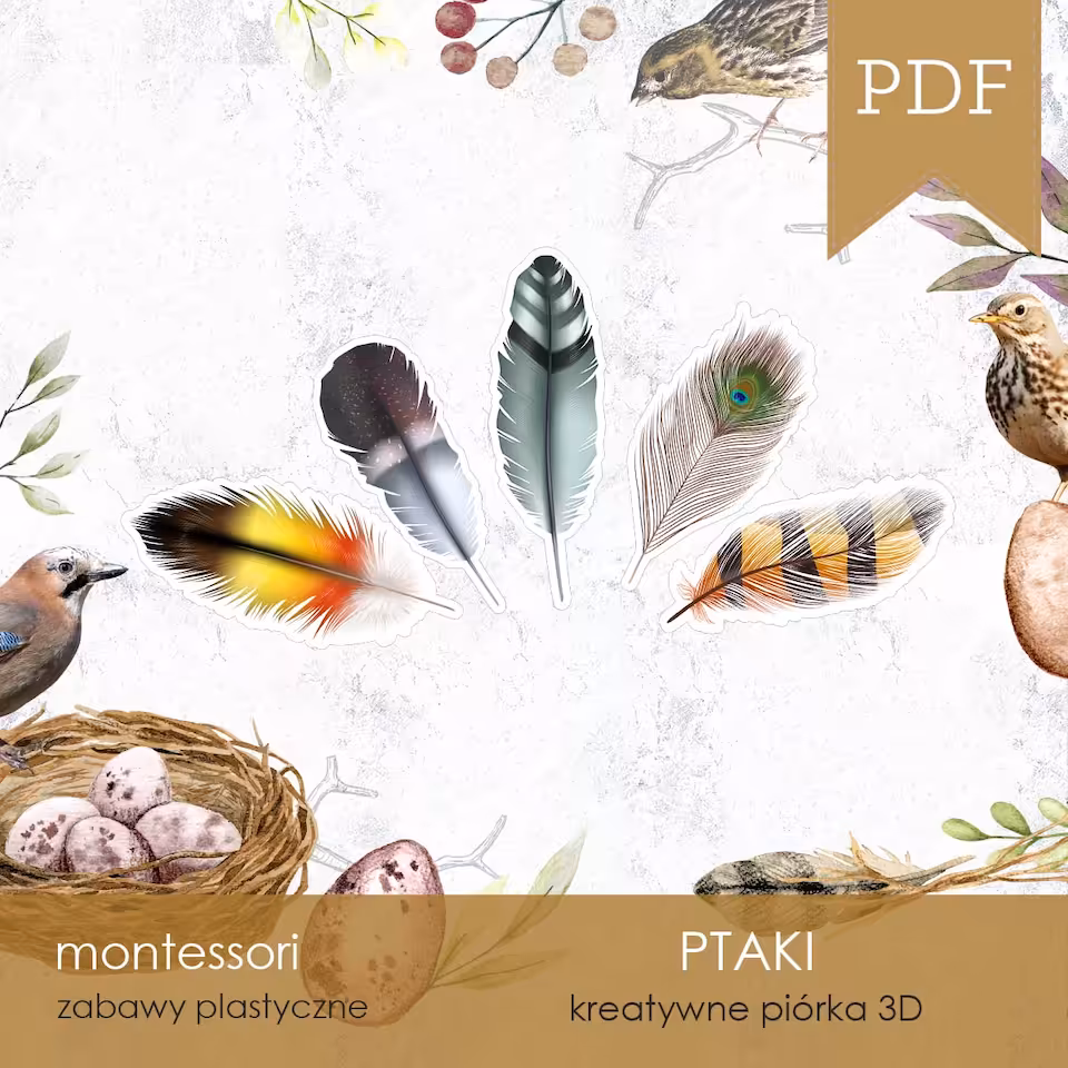 Ptaki - Pióra - Kreatywne piórka