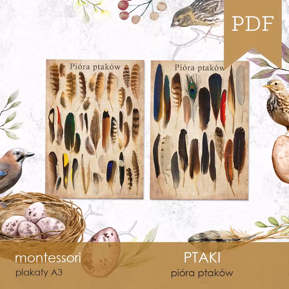 Ptaki - Pióra - Plakaty