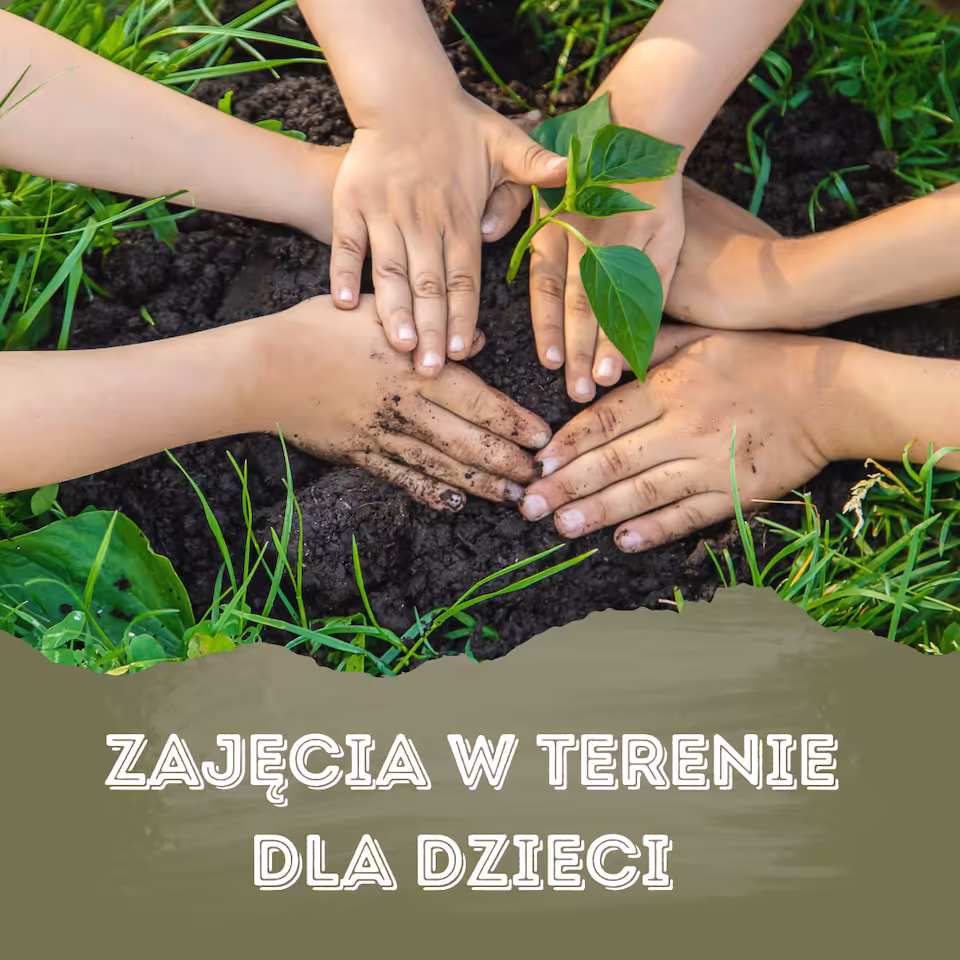 Zajęcia dla dzieci w terenie