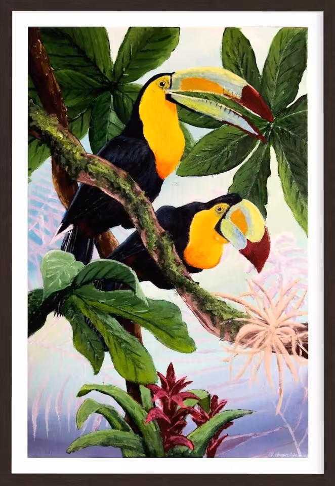 Tukany Tęczodziobe No.1 | Plakat 50x70