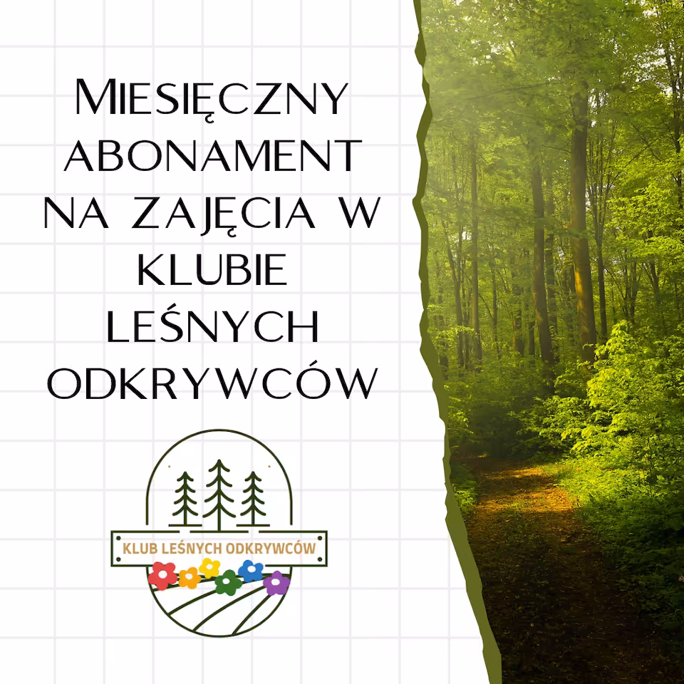 Miesięczny abonament