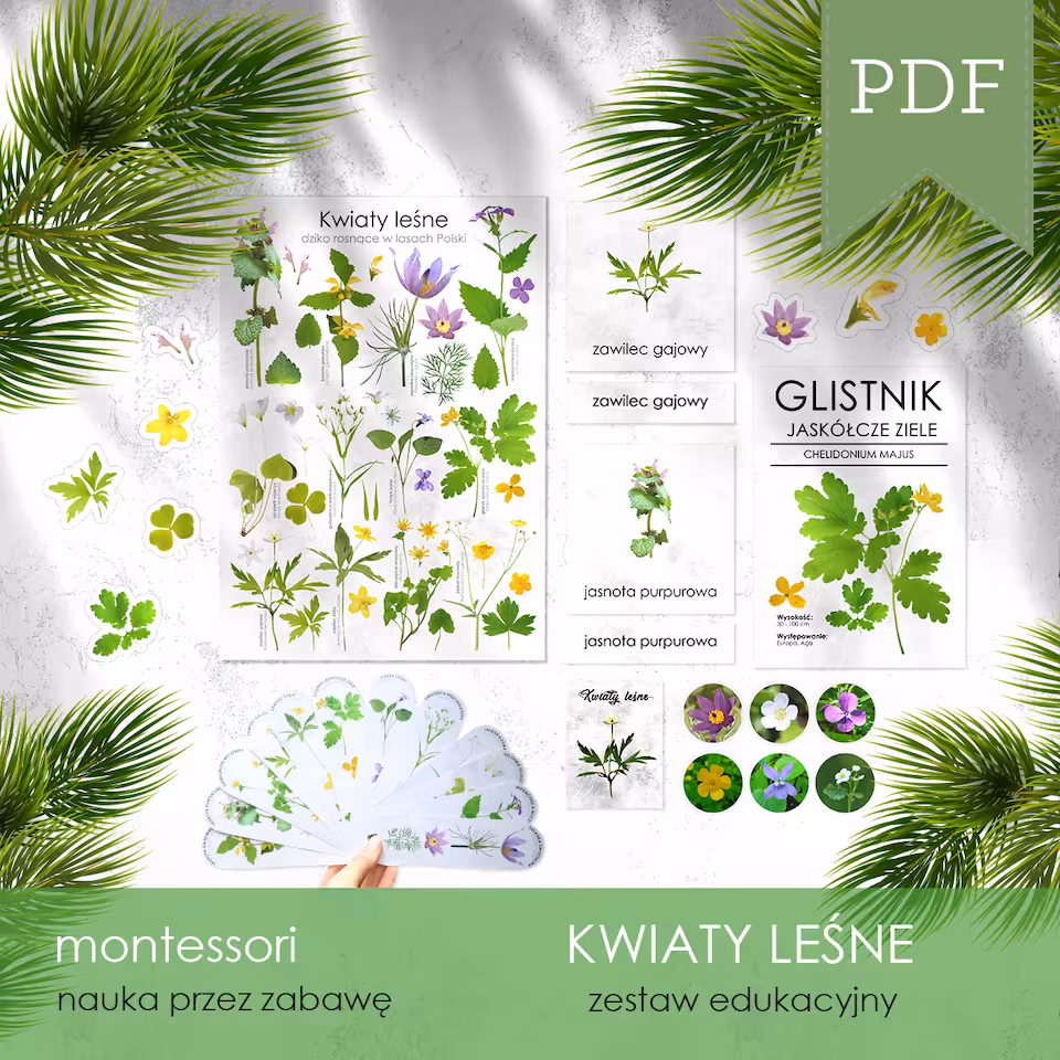 Las - Kwiaty leśne - Zestaw edukacyjny