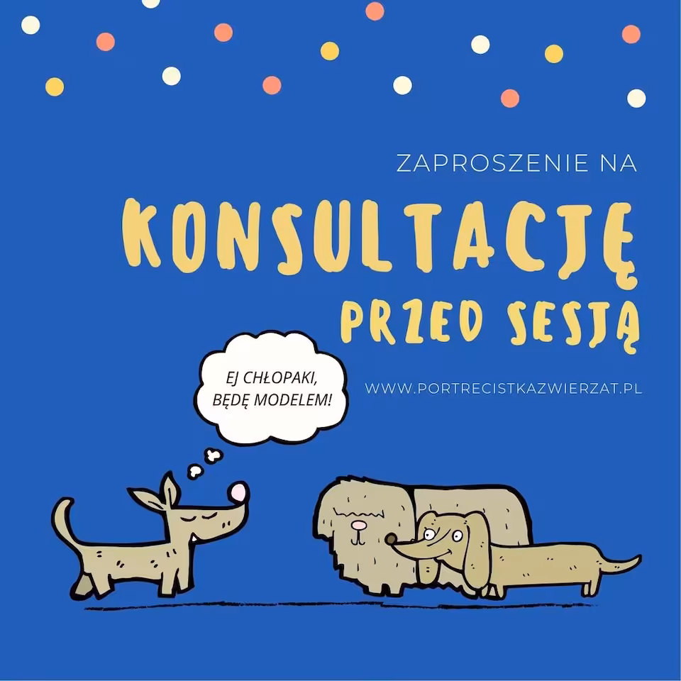 Konsultacja przed sesją zdjęciową z psem