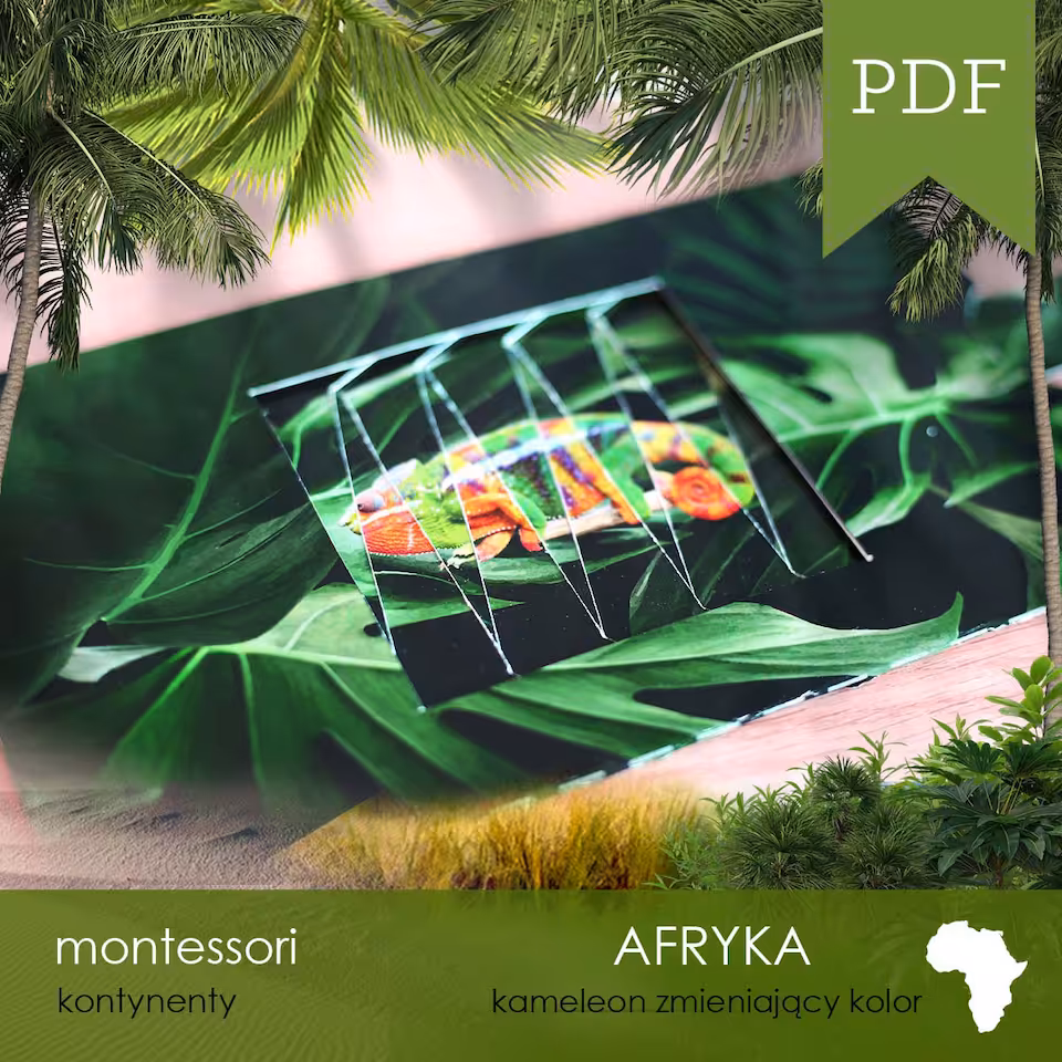 Afryka - Kameleon zmieniający kolor