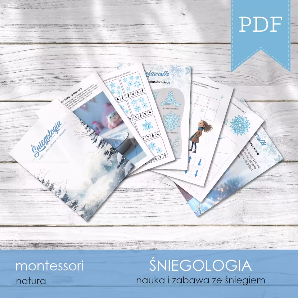 Śniegologia - Nauka i zabawa
