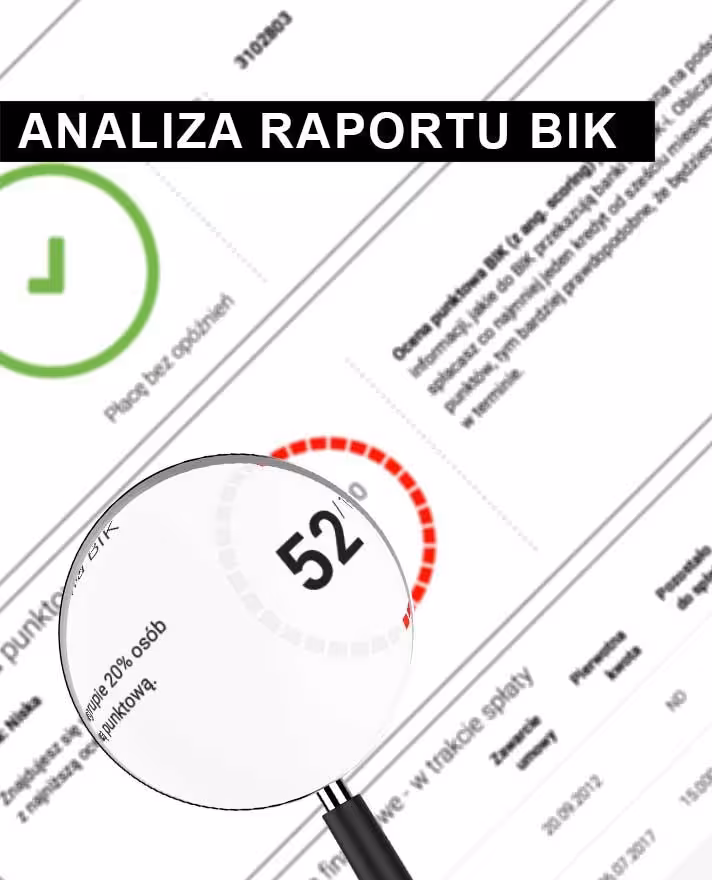 Analiza Raportu BIK