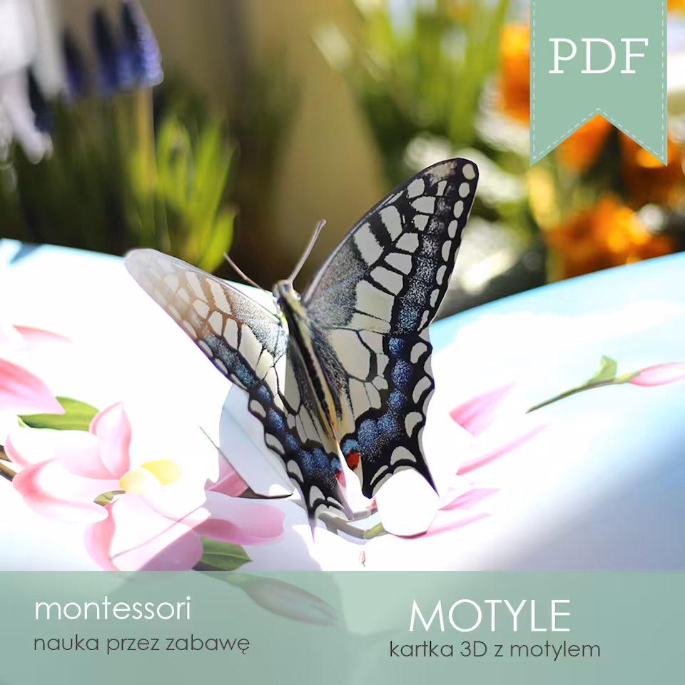 Motyle - Kartka 3D z motylem
