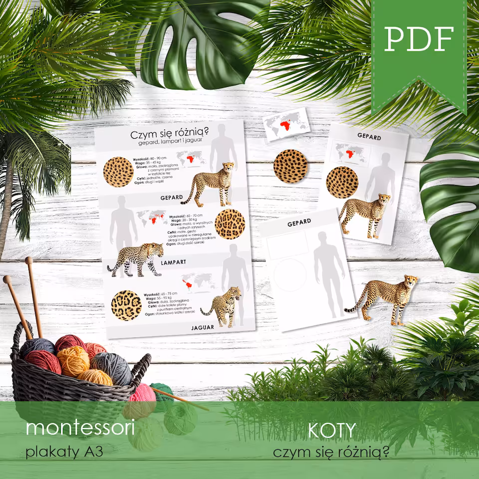 Koty - Różnice między kotami