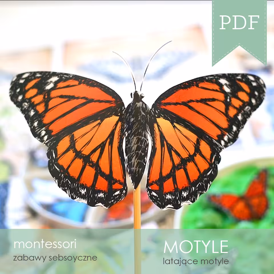 Motyle - Motyle na patyczku