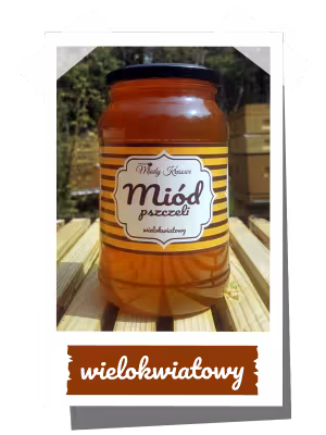 Miód wielokwiatowy