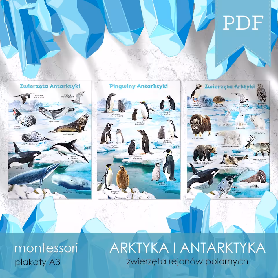 Arktyka i Antarktyka - Plakaty