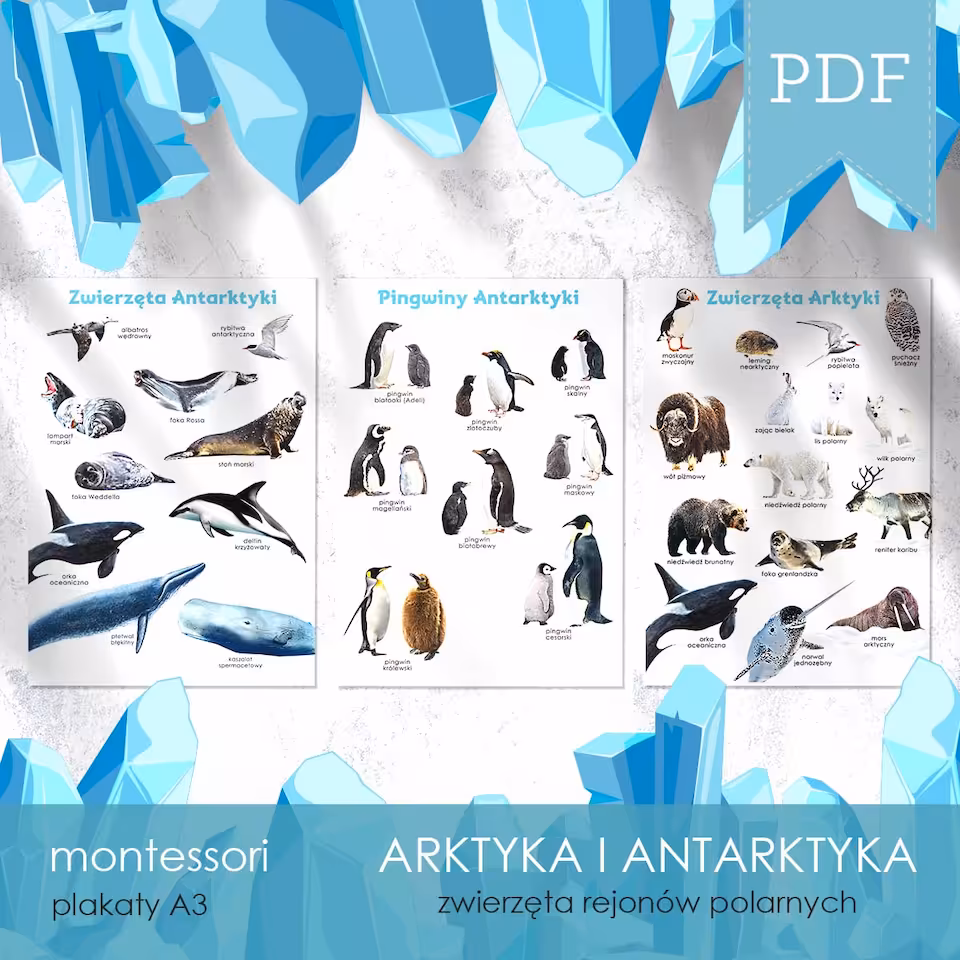 Arktyka i Antarktyka - Plakaty