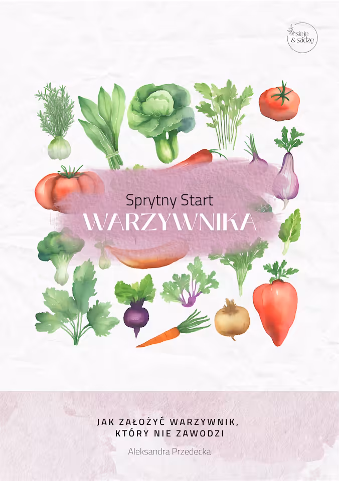 Sprytny Start Warzywnika