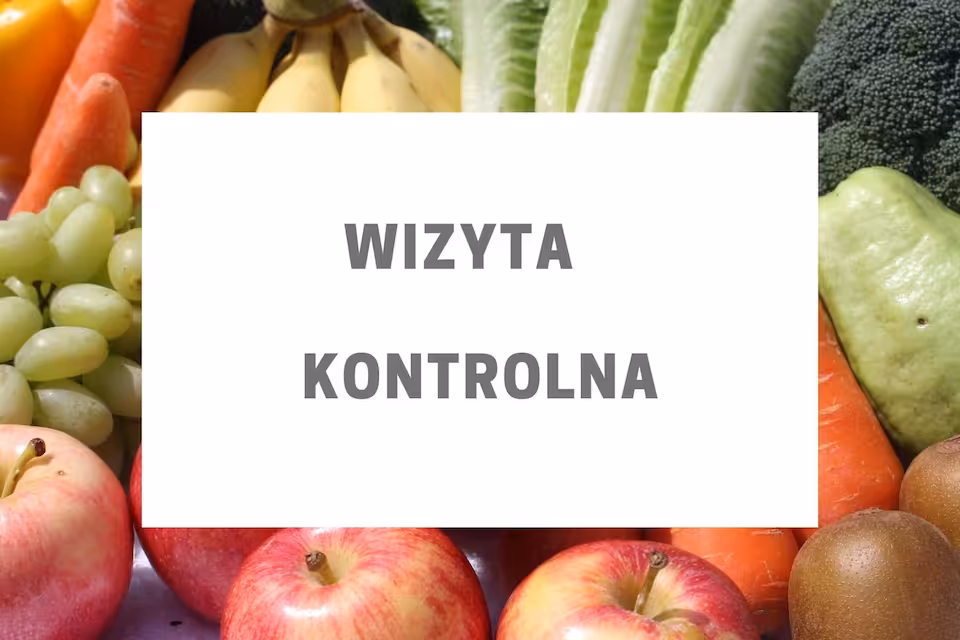wizyta kontrolna