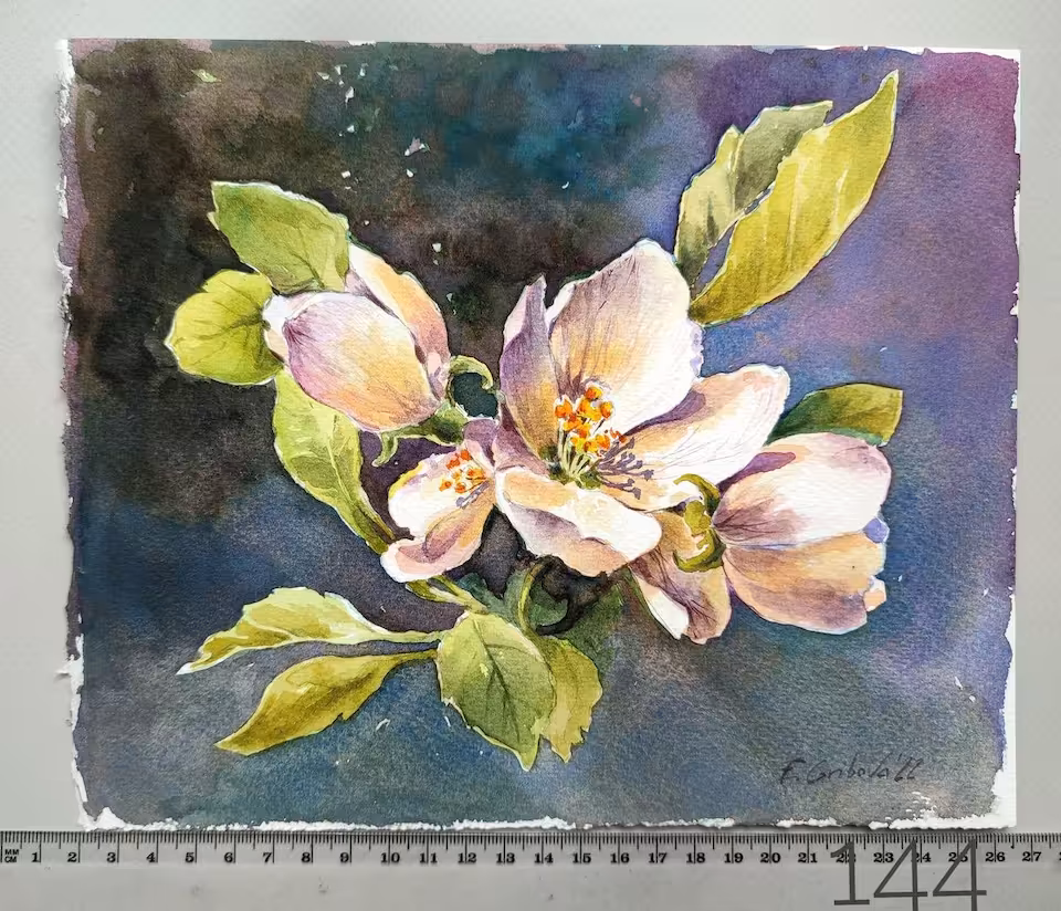 Akwarela "Kwiat jabłoni" / 144