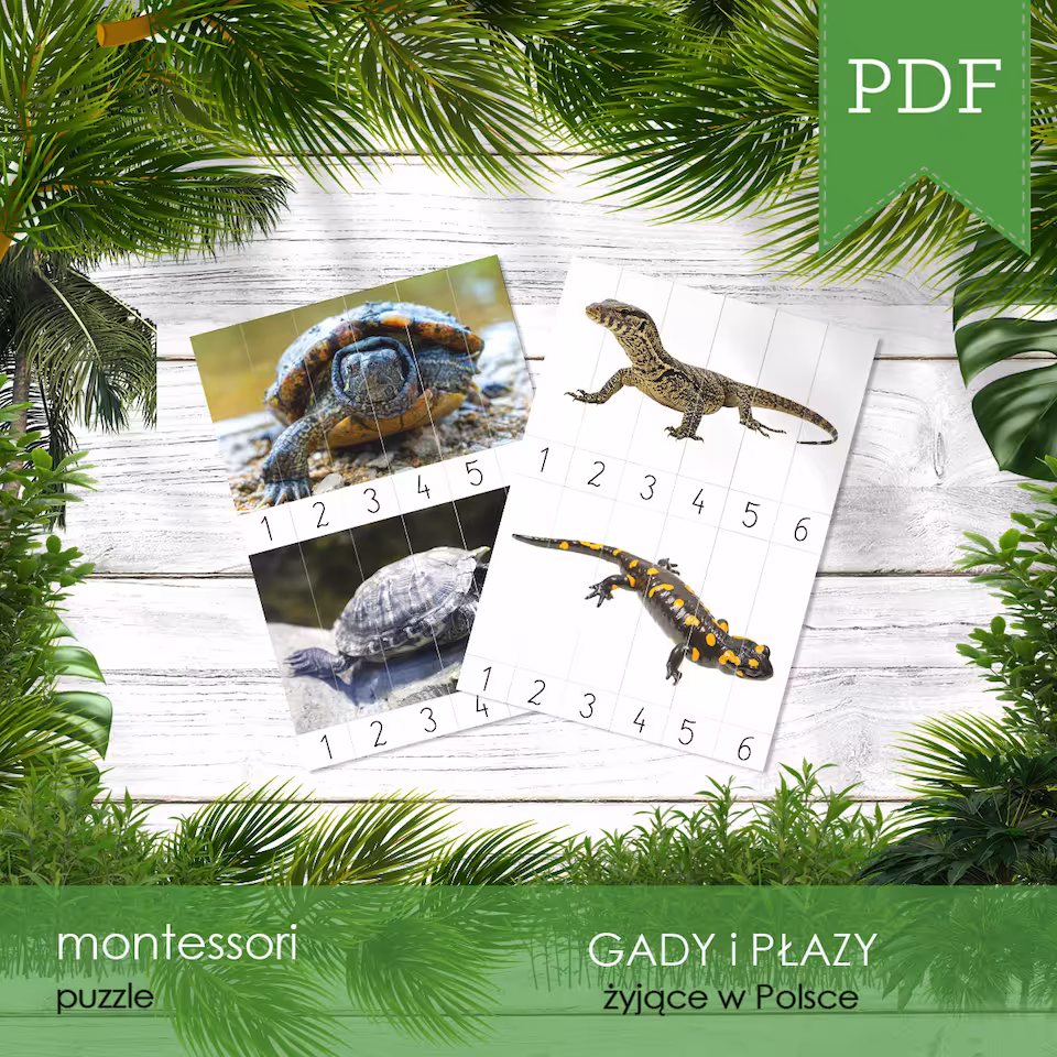 Gady i płazy Polski - Puzzle numeryczne