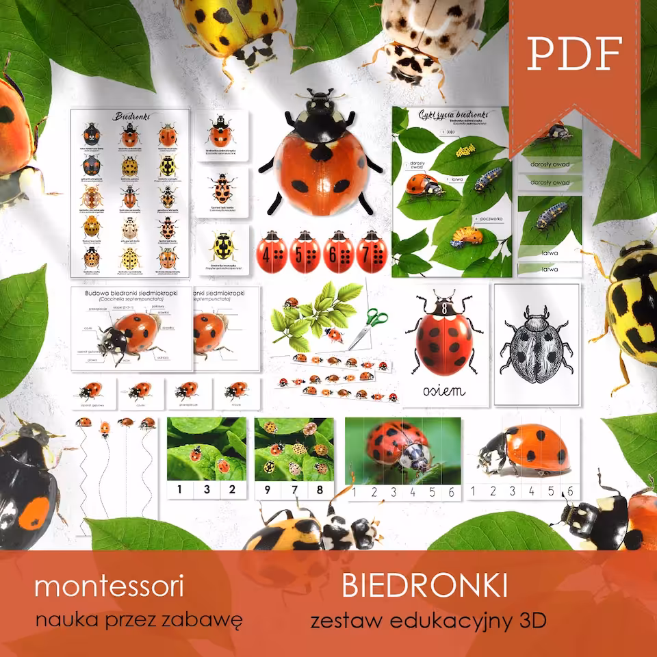 Biedronki - Zestaw edukacyjny 3D