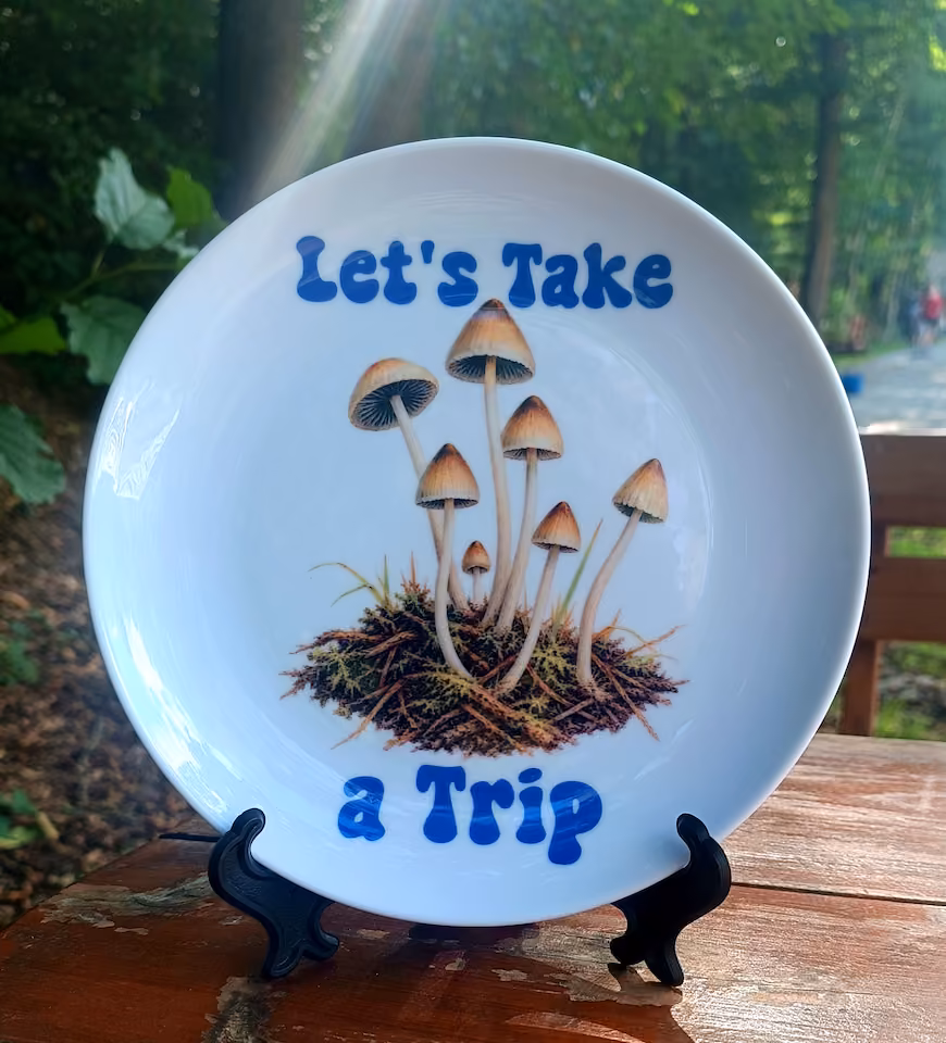 Talerz ceramiczny Sarnodzieło 20 cm Let's take a trip