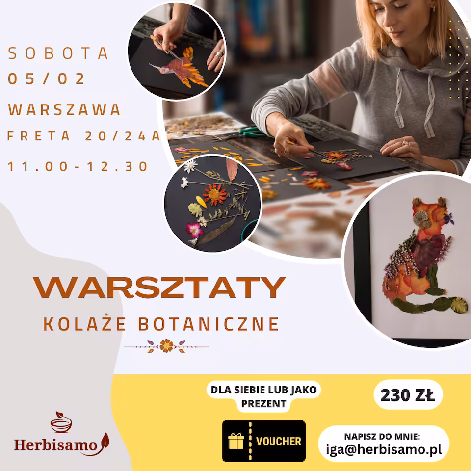 warsztaty-kolaze-botaniczne-warszawa