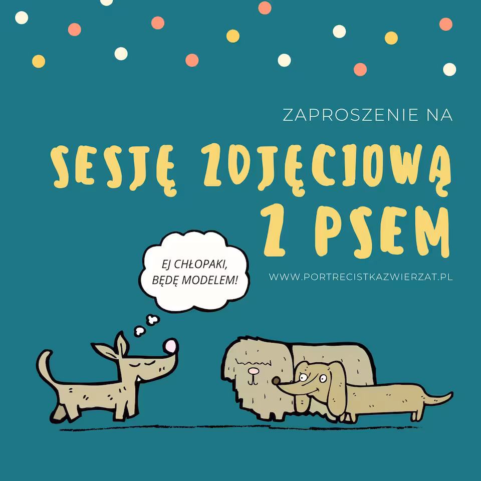 Sesja zdjęciowa z psem pakiet doświadczenie szyte na miarę