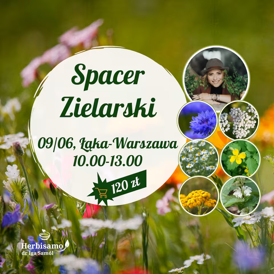 Spacer Zielarski - 09/06